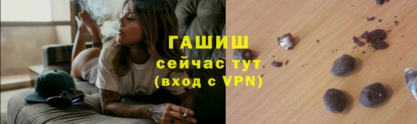 сатива Новокубанск
