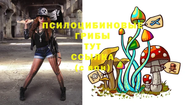 мяу мяу мука Новозыбков
