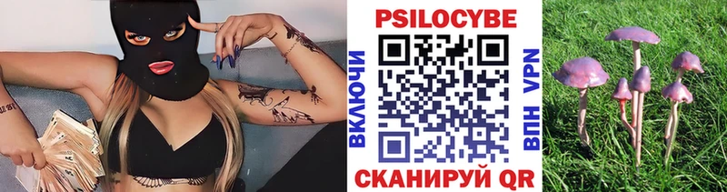 Галлюциногенные грибы прущие грибы  Пыталово 